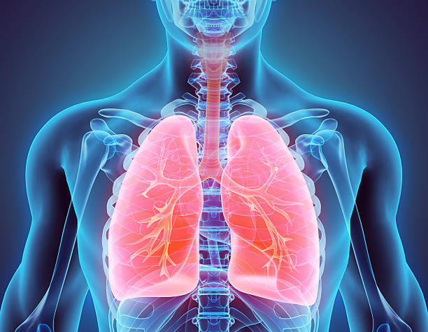 Radiografía de las vías respiratorias